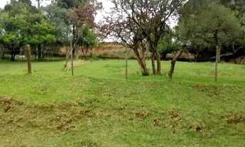 Imagem 7: Terreno Cristal Vacaria