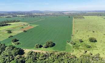 Imagem 2: Chácara de 5 alqueires em Hidrolândia-GO