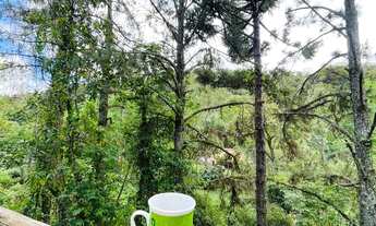 Imagem 4: Chácara a venda