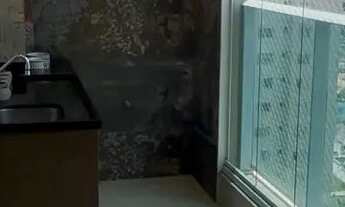 Imagem 5: Apartamento península 203 m - vendo ou alugo