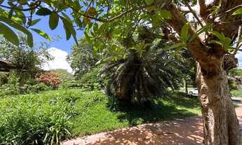 Imagem 2: Terreno para Venda em Florianópolis, Jurerê Internacional