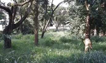 Imagem 6: AREA - JARDIM PAULISTA - SP