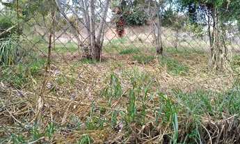 Imagem 2: Terreno - Jardim das Paineiras - Campinas