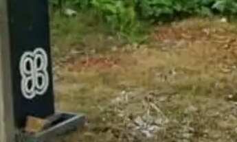 Imagem 5: Terreno para Venda em São José dos Pinhais, Borda do Campo