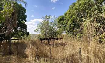 Imagem 2: Chácara 13 e-ctare