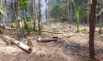 Imagem: Vendo sítio no km 41, am 010