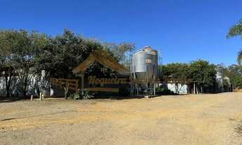 Imagem 3: Sitio com granjas, área com 5,5 alqueires na região de Tatui/SP