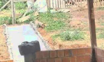 Imagem 7: Sítio Ramal do Urubuí - Presidente Figueiredo AM