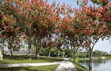 Imagem: TERRENO À VENDA, 529 M² NO QUINTA DO LAGO