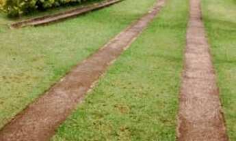 Imagem 3: Chácara, Rosa Mendes, Pinhalzinho-SP