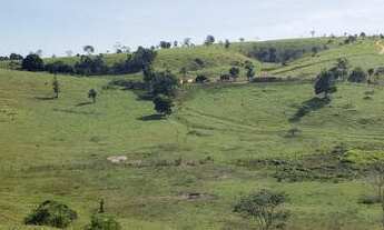 Imagem 6: Fazenda Pecuária Pronta