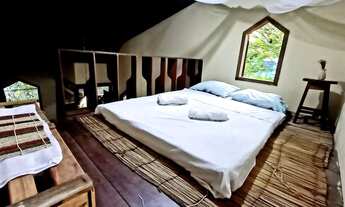 Imagem 3: Casa dos açaizeiros em Alter do Chão