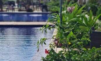 Imagem 4: Apartamento para venda possui 55 metros quadrados com 2 quartos em Porto de Galinhas - Ipo