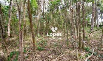 Imagem 3: Terreno à venda, 1500 m² por R$ 520.000,00 - Centro (Mailasqui) - São Roque/SP