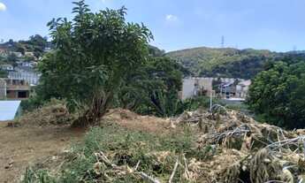 Imagem 3: Terreno no bairro do Tanque