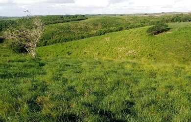 Imagem 7: Fazenda/Sítio/Chácara para venda com 156 ta possui 476736 metros quadrados em Centro - Aqu