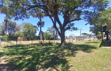 Imagem 6: CAXIAS DO SUL - Casa Padrão - SÃO CIRO