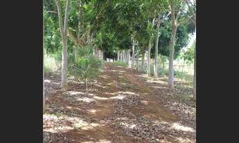 Imagem: Excelente chácara em Aragoiânia - 7.993