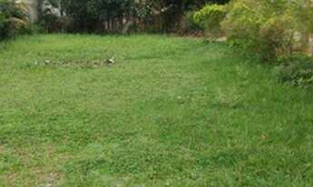 Imagem 4: Oportunidade terreno plano