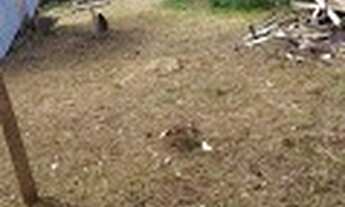 Imagem 2: TERRENO EM COLOMBO