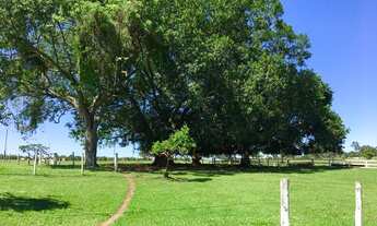 Imagem 7: SITIO 6 ALQUEIRES EM JARDINÉSIA - PRATA