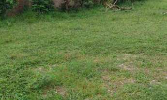 Imagem 3: Oportunidade terreno plano