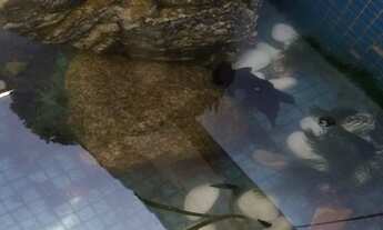 Imagem 4: SÃO PAULO - casa de condomínio - VILA CARRÃO