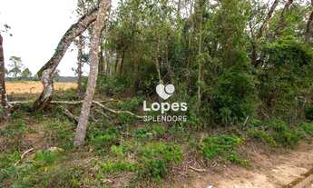 Imagem 3: Terreno à venda, 1500 m² por R$ 520.000,00 - Centro (Mailasqui) - São Roque/SP