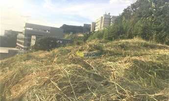 Imagem 4: Terreno para alugar, 1.200 m² - Estoril - Belo Horizonte/MG