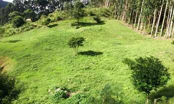 Imagem 4: Vendo sitio Chácara com venda por R$185.000