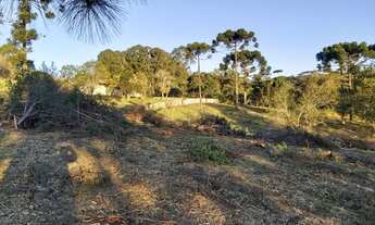 Imagem 6: RIO NEGRINHO - AREA - Vila Nova