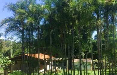 Imagem 4: SITIO 6 ALQUEIRES EM JARDINÉSIA - PRATA