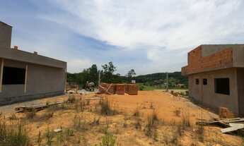 Imagem 5: Terreno ao lado do parque Municipal Jorge Hardt