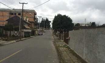 Imagem 4: ÁREA à venda com 19000m² por R$ 8.500.000,00 no bairro Boneca do Iguaçu - SÃO JOSÉ DOS PIN