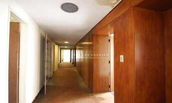 Imagem 7: Apartamento espaçoso no principal ponto de Higienópolis