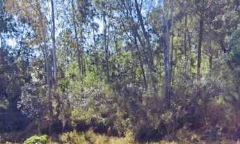 Imagem 2: 03 Terrenos, sitio, lotes no parque eldorado - Guaiba Country Club