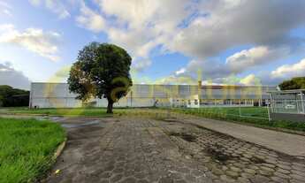Imagem 5: Galpão Para Locação em Curado - Recife - PE
