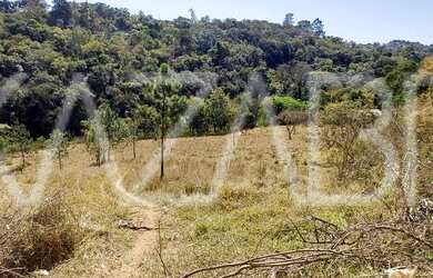 Imagem 4: Lote/Terreno para venda com 759 metros quadrados em Estância Santa Maria do Portão - Atiba