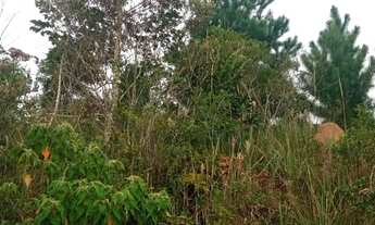 Imagem 7: CHÁCARA com 1 dormitório à venda com 2400m² por R$ 75.000,00 no bairro Imbuial - CAMPINA G