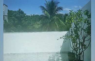 Imagem 6: Ótima oportunidade para morar ou investir na Ilha da Gigoia