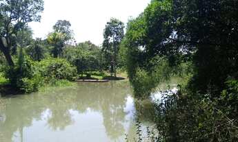 Imagem 3: Chácara, muita água, ótimo valor e local privilegiado