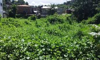 Imagem 5: Terreno em Gaibú