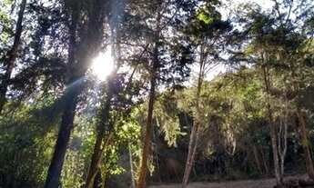 Imagem 2: PETRóPOLIS - Terreno Padrão - Duarte Silveira