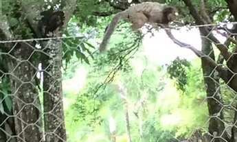 Imagem 5: Chácara com venda por R$2.200.000