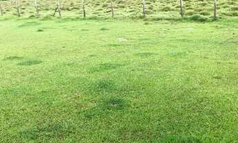 Imagem 5: VC - Vendo Terreno com ótimo solo