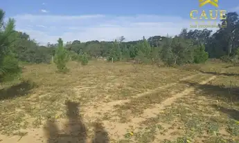Imagem 4: OPORTUNIDADE!!! Chácara 5,1hectares em ótima localização