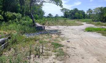 Imagem 5: Terrenos na Ilha /Lote/Terreno para venda em Barra do Gil - Vera Cruz - Bahia