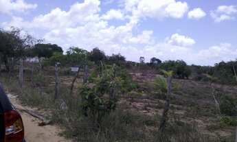 Imagem 6: Vendo Lotes em Pium RN