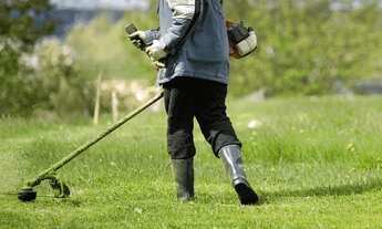 Imagem: Corte de grama