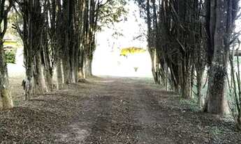 Imagem 5: Aproveite a beleza natural de Ibiúna: Terrenos disponíveis para você explorar